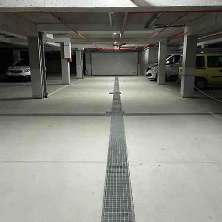 Aleksandar As Brzeće