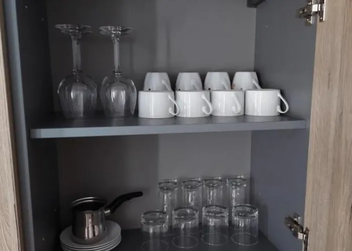 公寓 Aleksandar As *