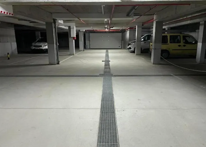 Aleksandar As Brzeće