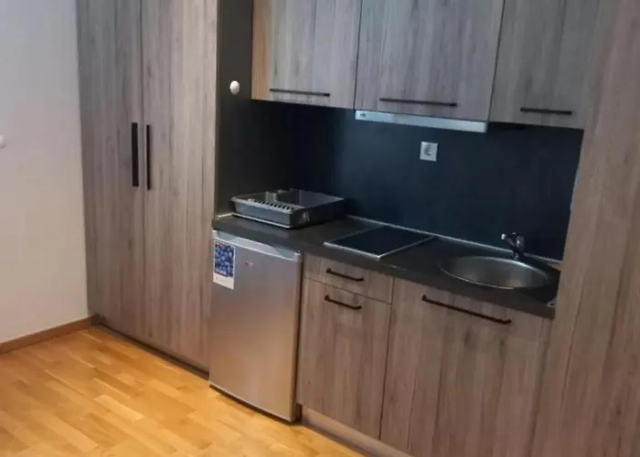 公寓 Aleksandar As *